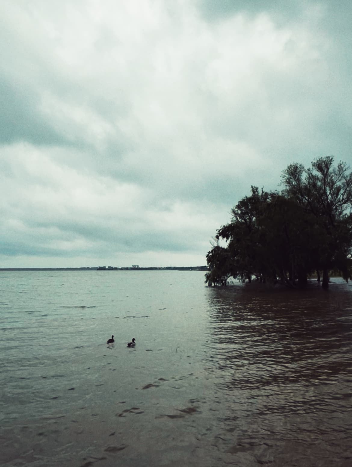 An image from my portfolio