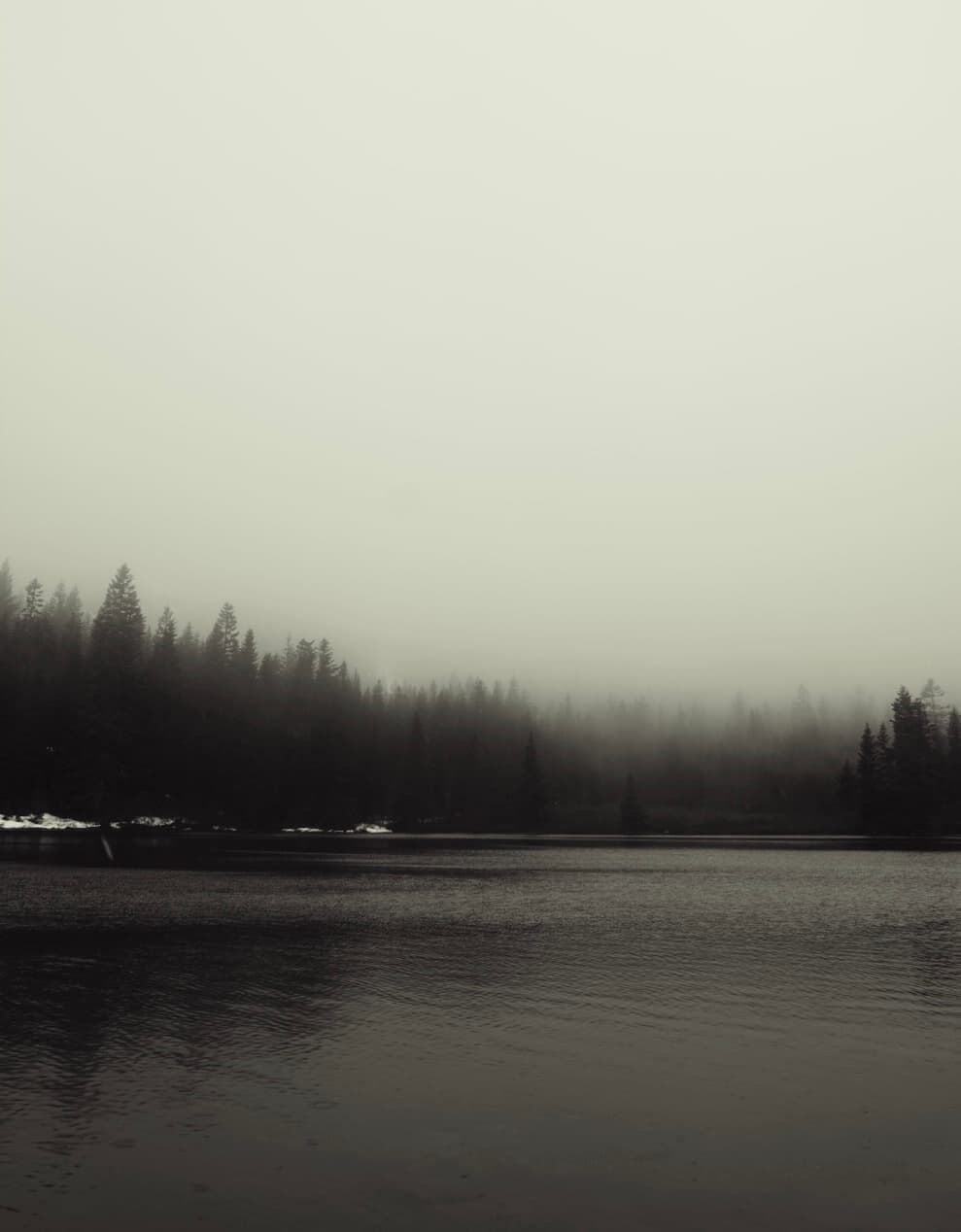 An image from my portfolio