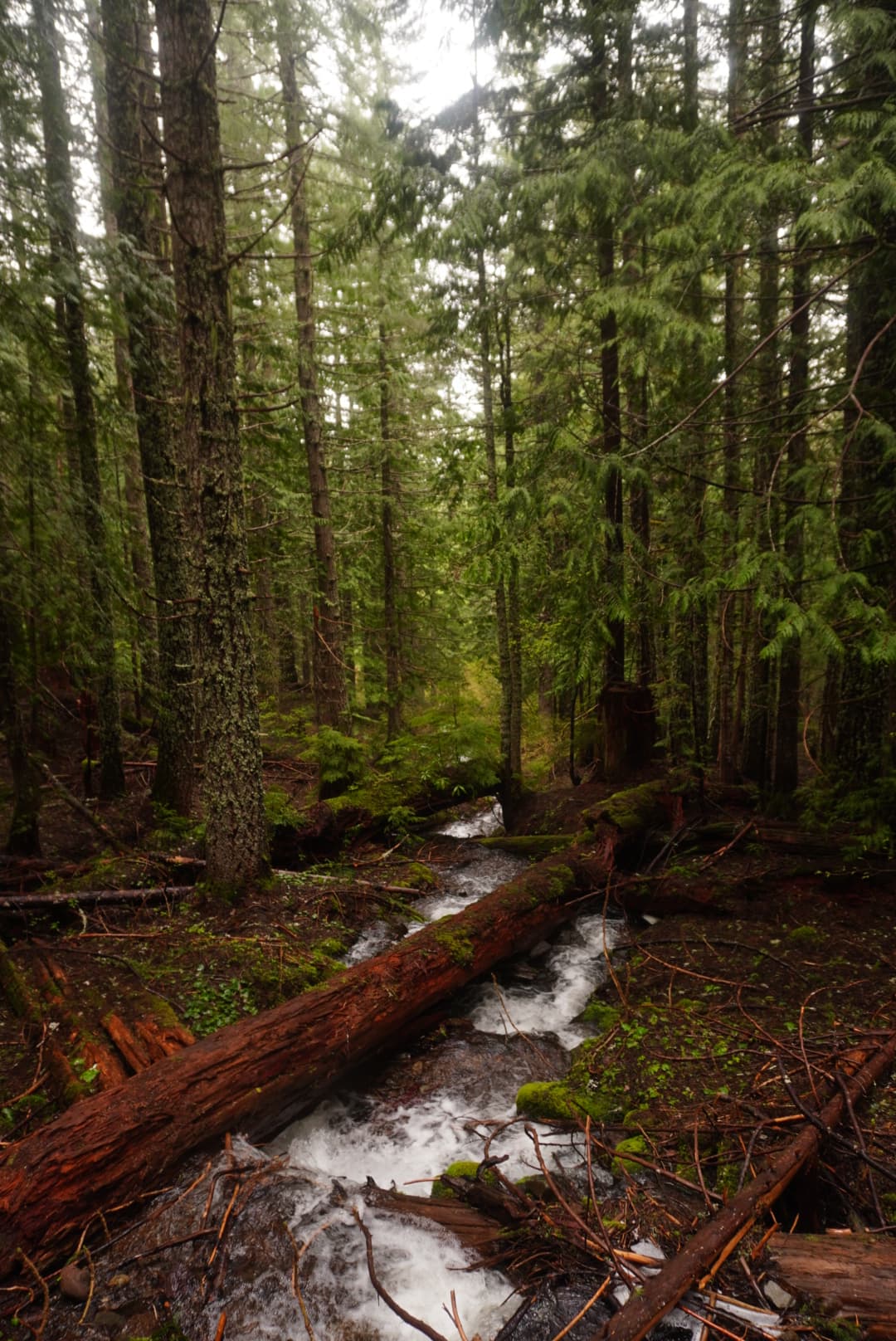 An image from my portfolio