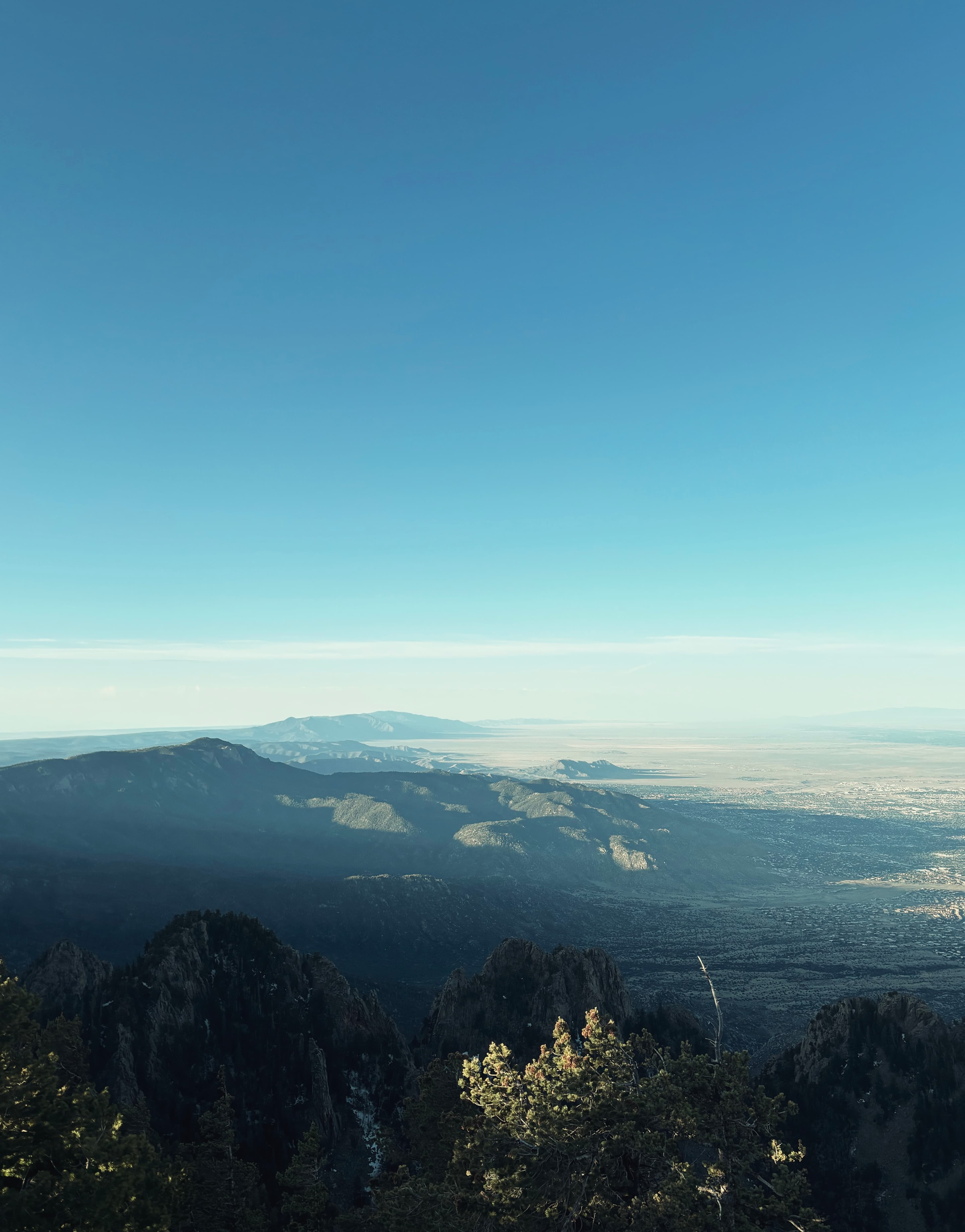 An image from my portfolio