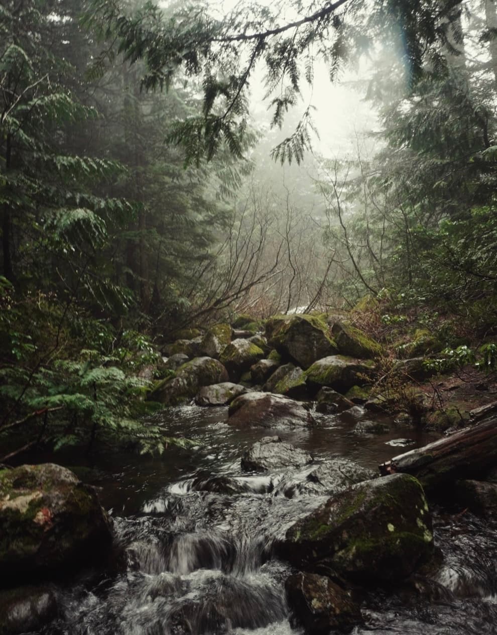 An image from my portfolio