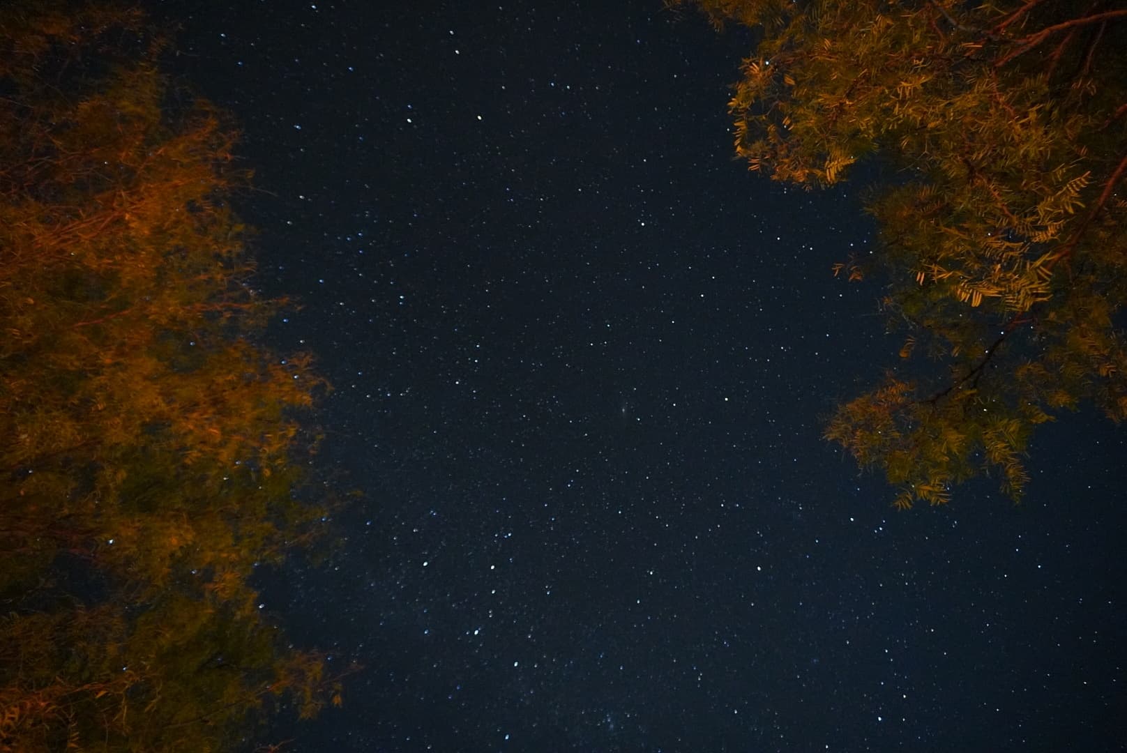 An image from my portfolio