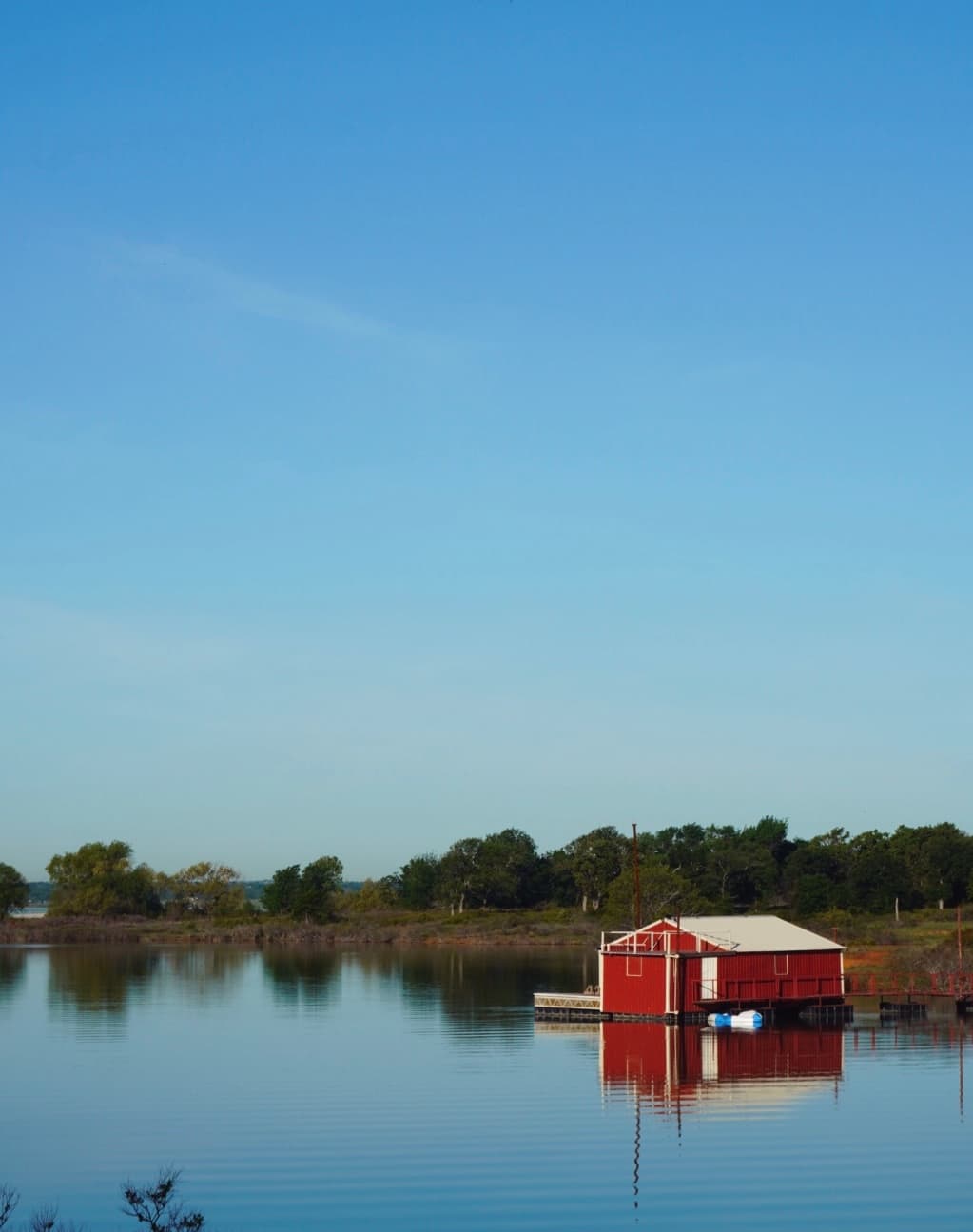 An image from my portfolio