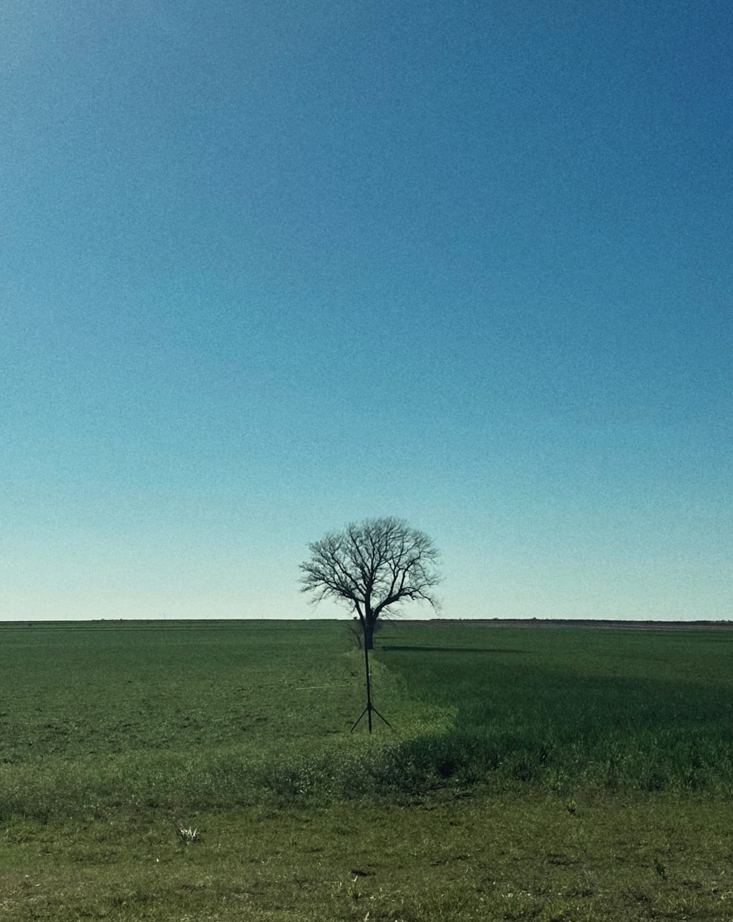 An image from my portfolio