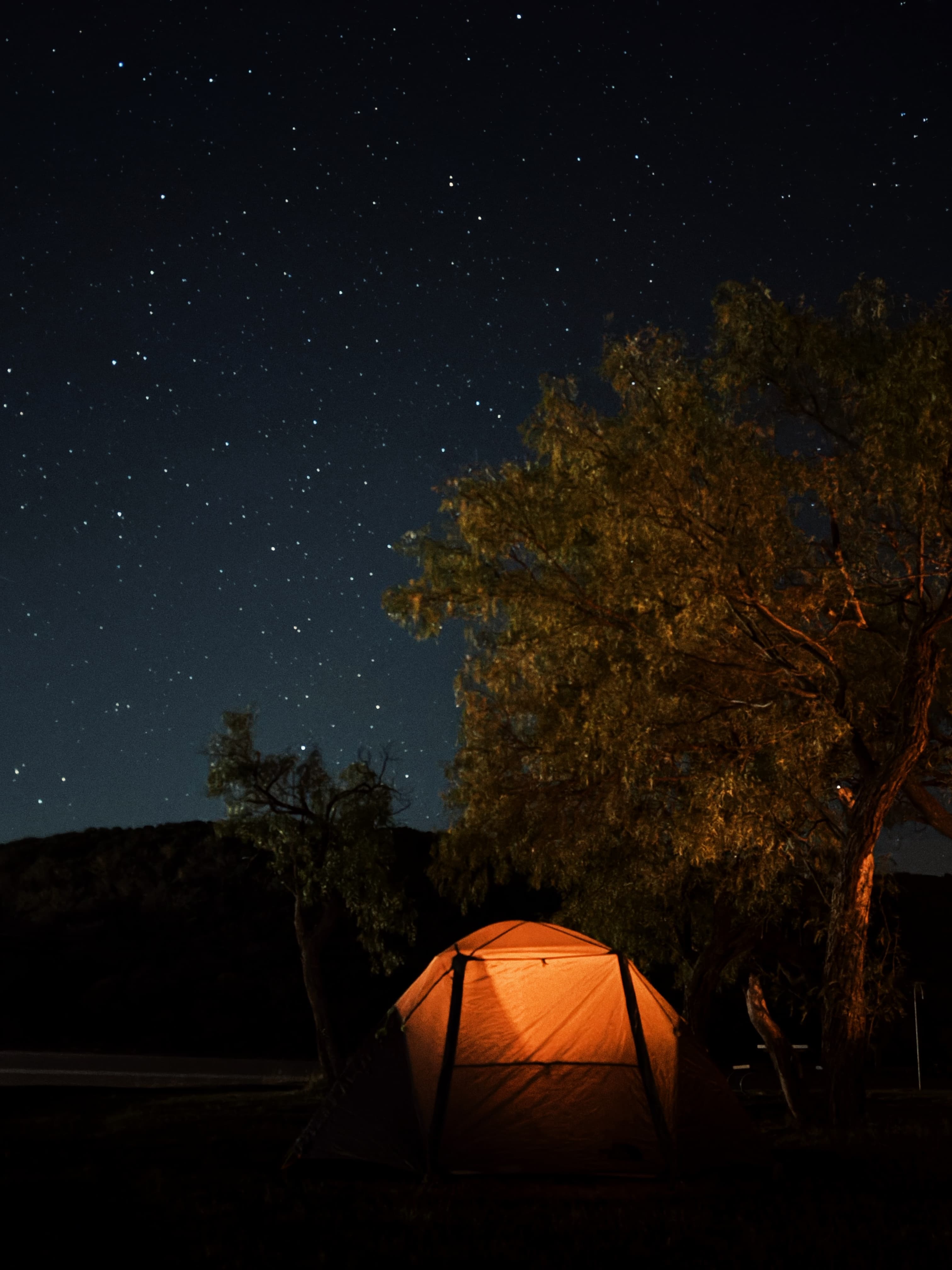 An image from my portfolio