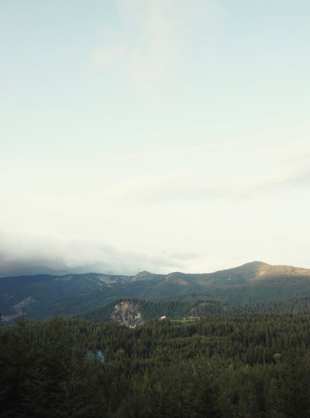 An image from my portfolio