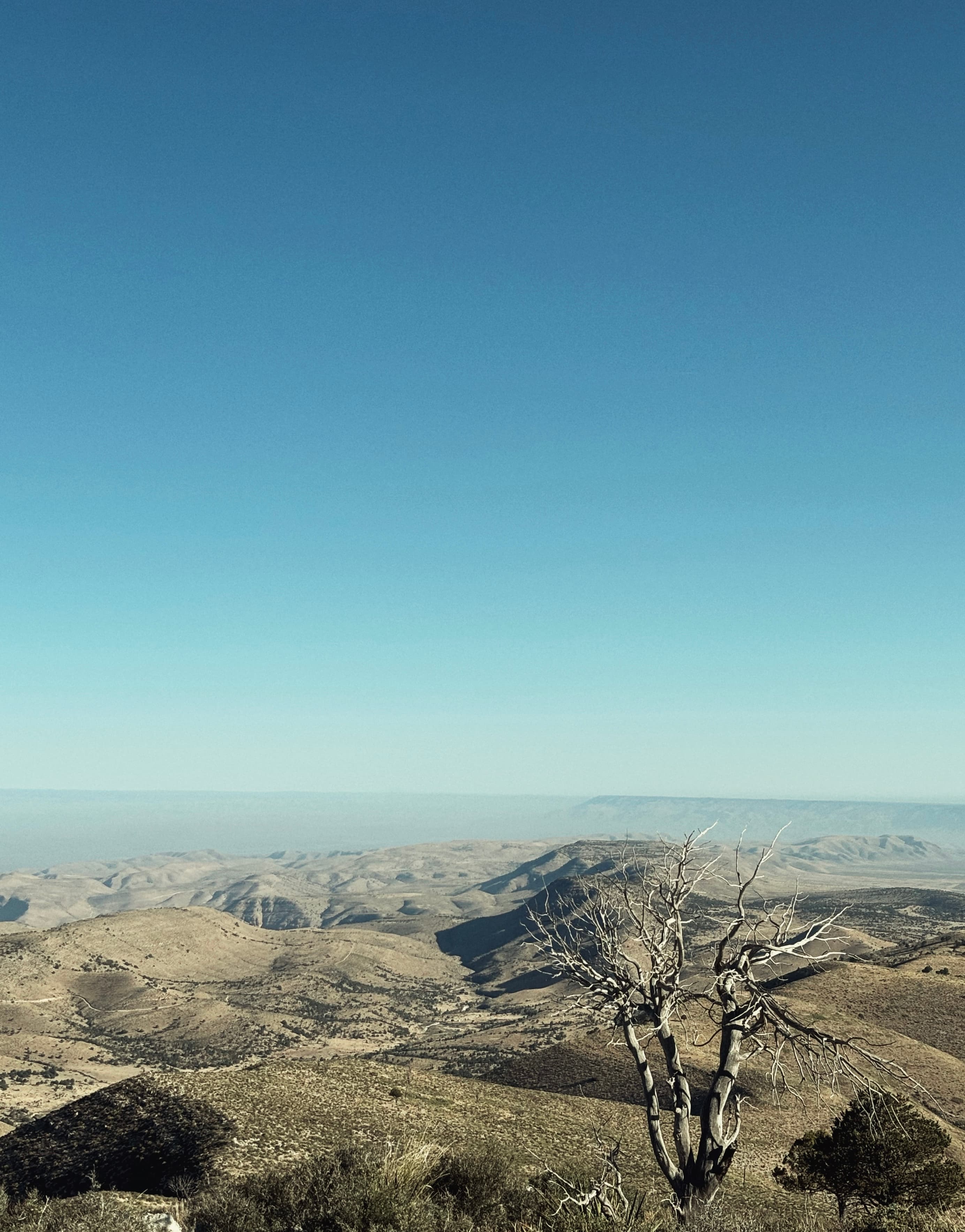 An image from my portfolio