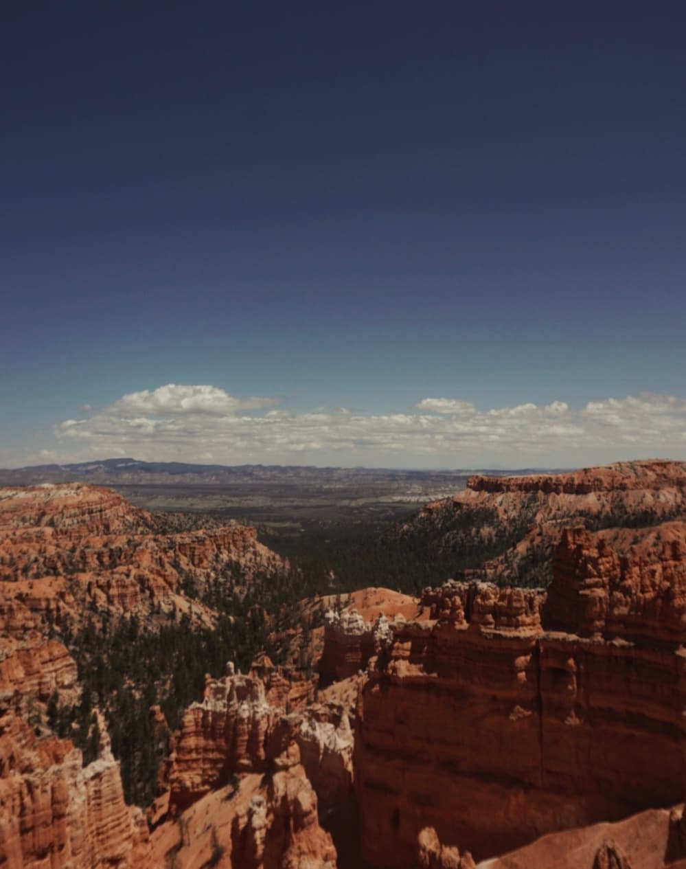 An image from my portfolio