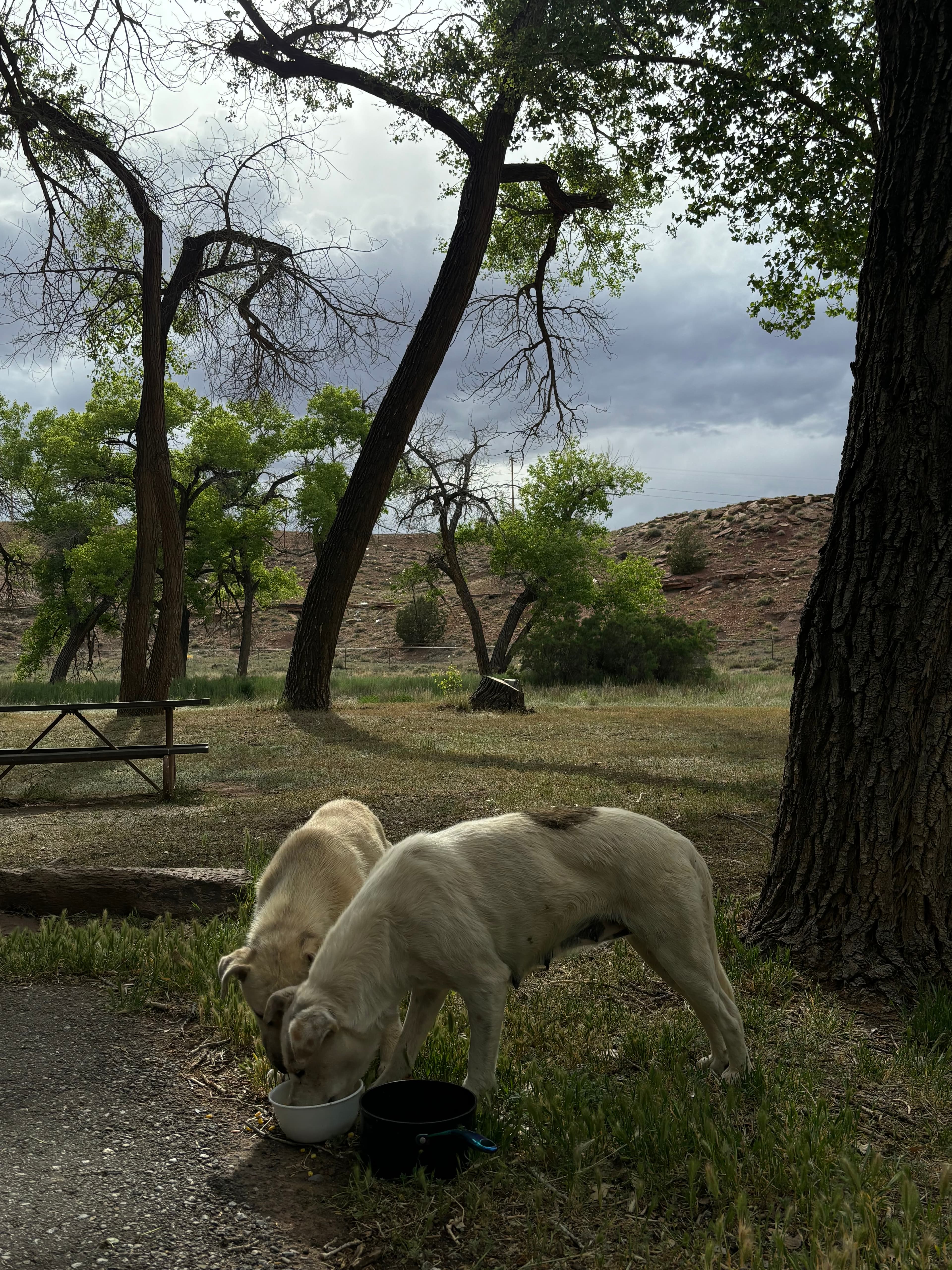 An image from my portfolio