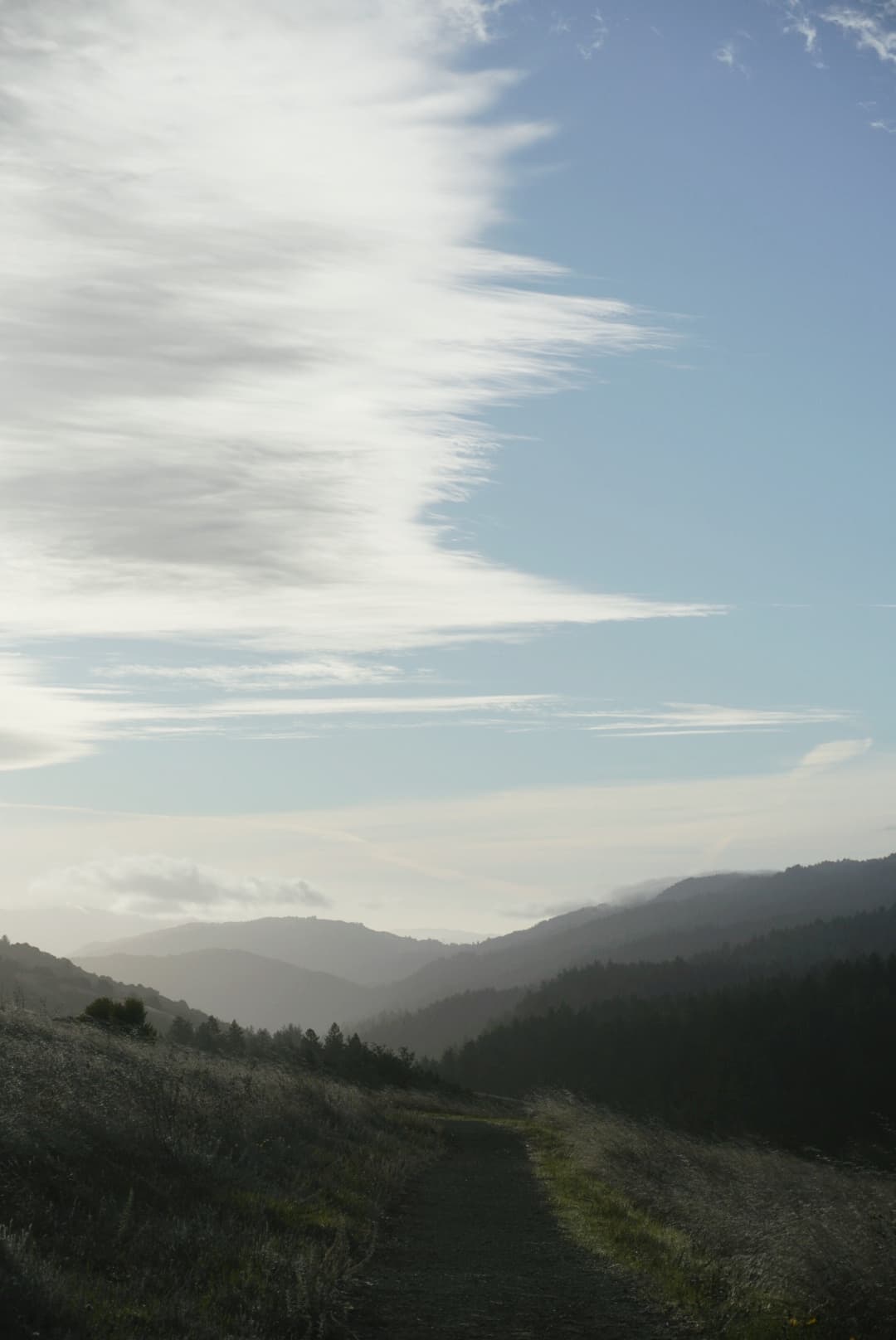 An image from my portfolio