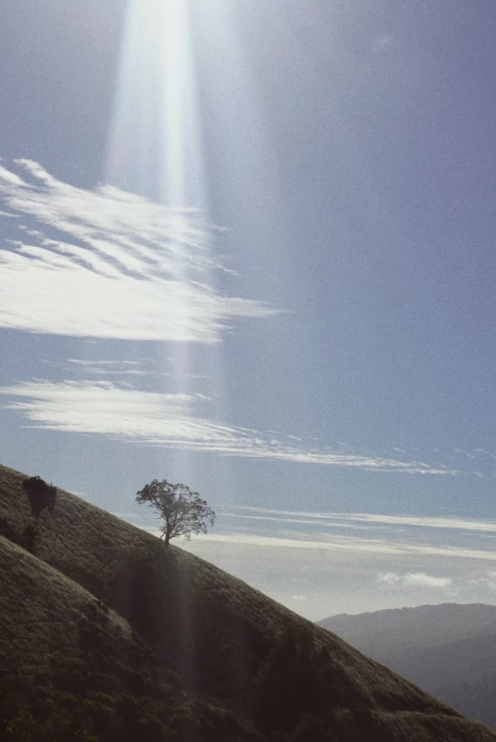 An image from my portfolio