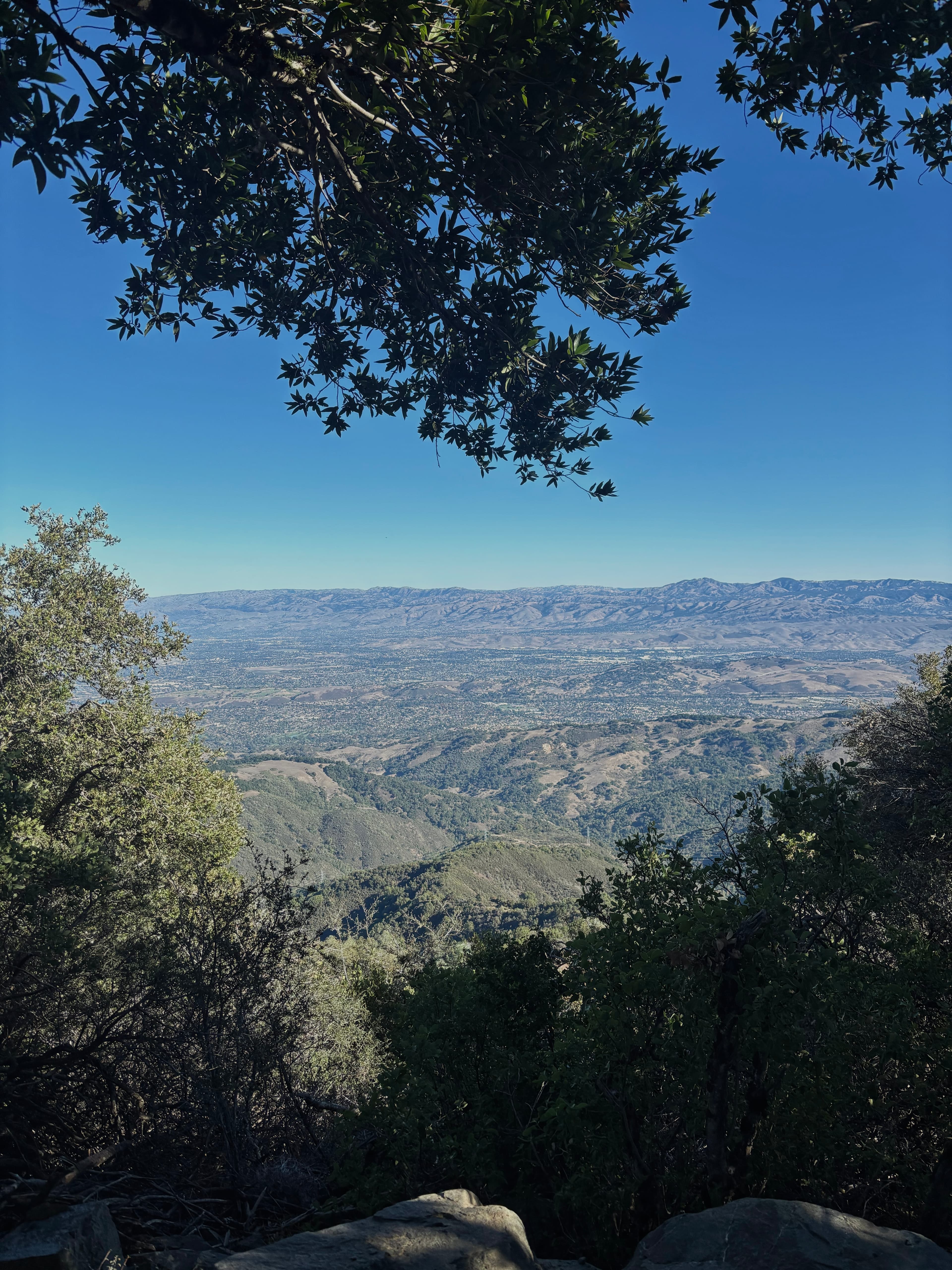 An image from my portfolio