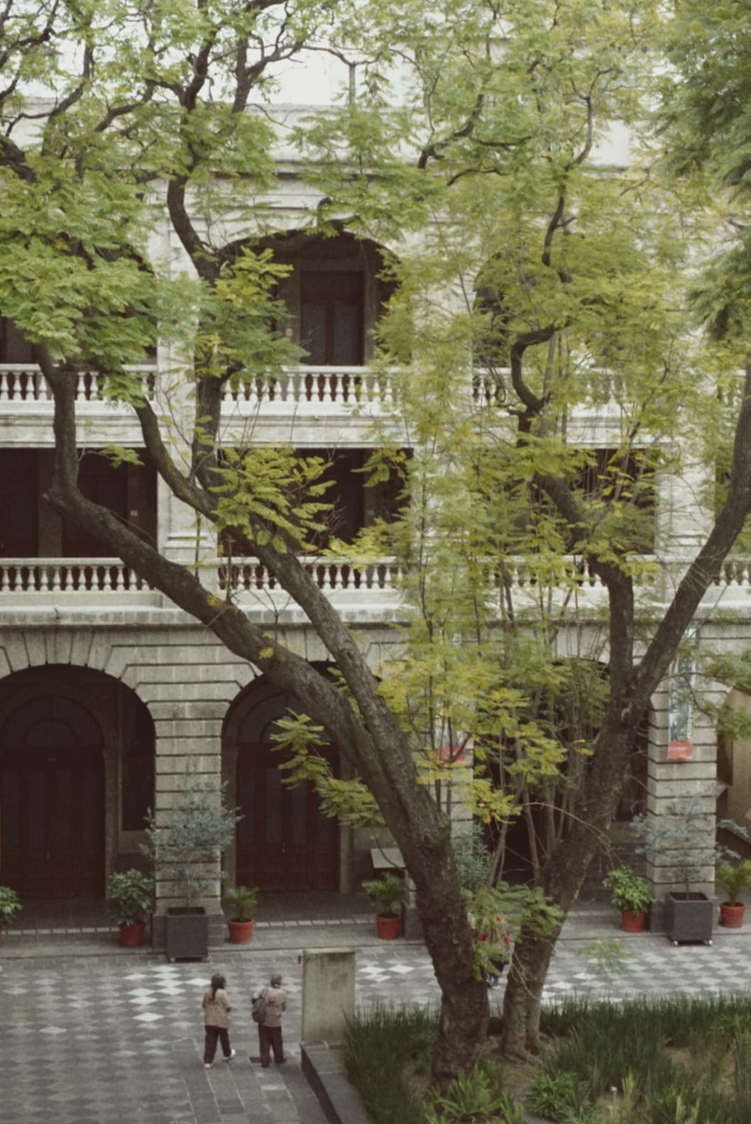 An image from my portfolio