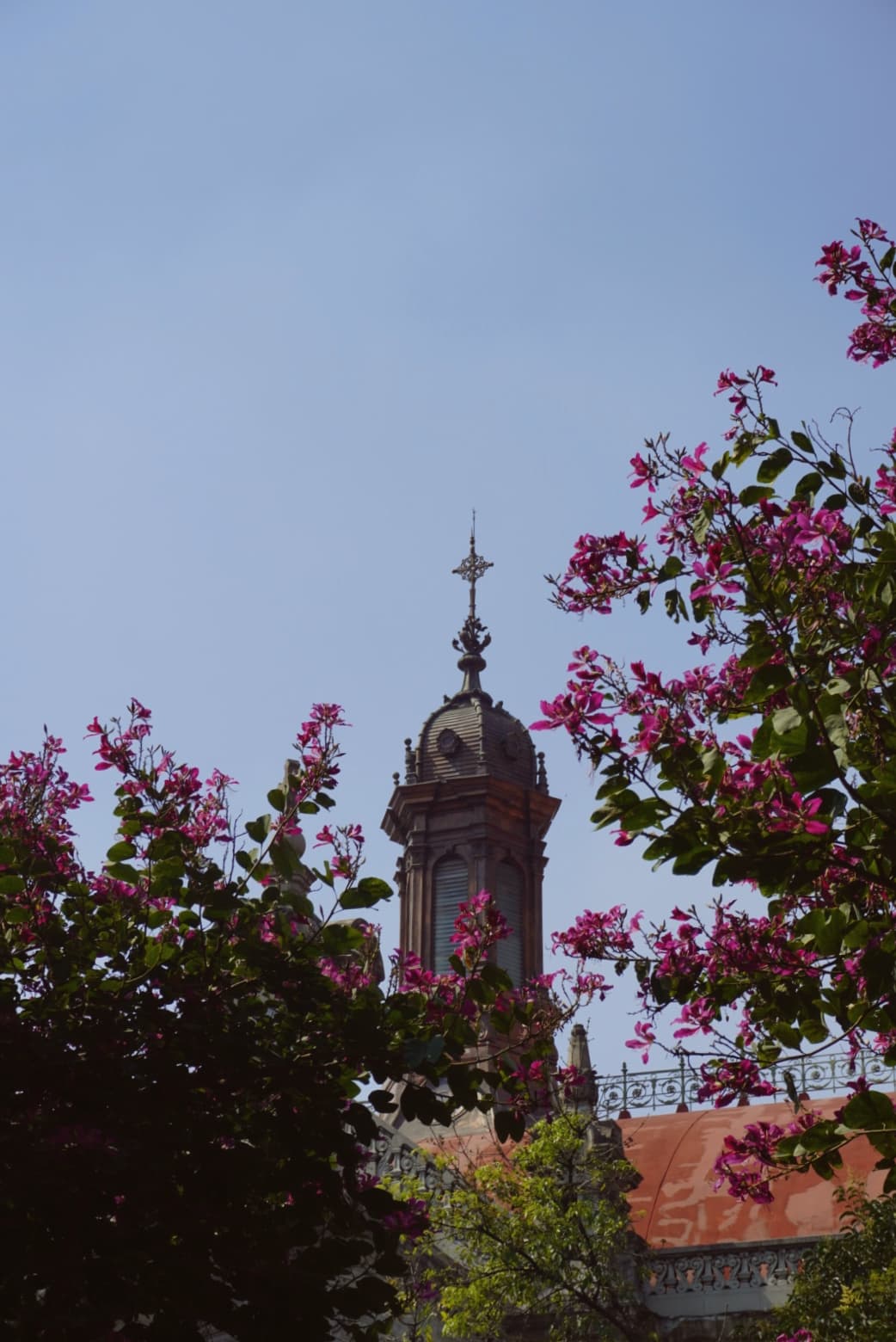 An image from my portfolio