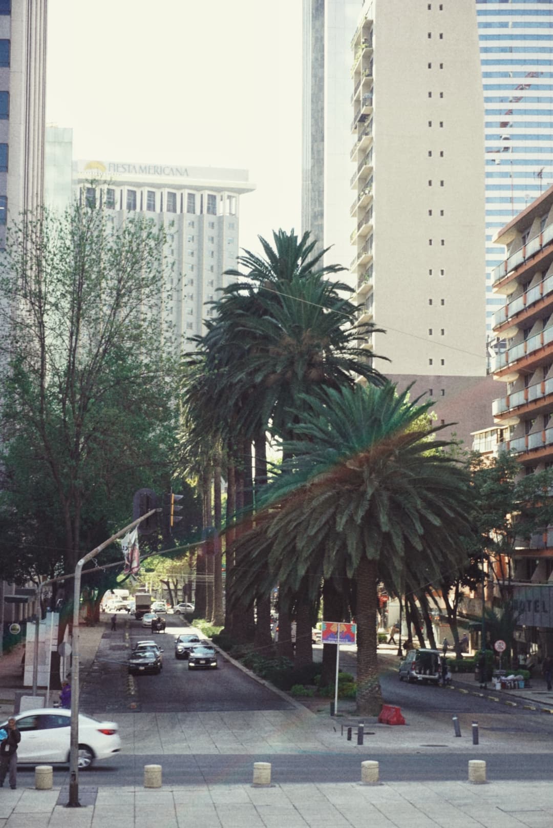 An image from my portfolio