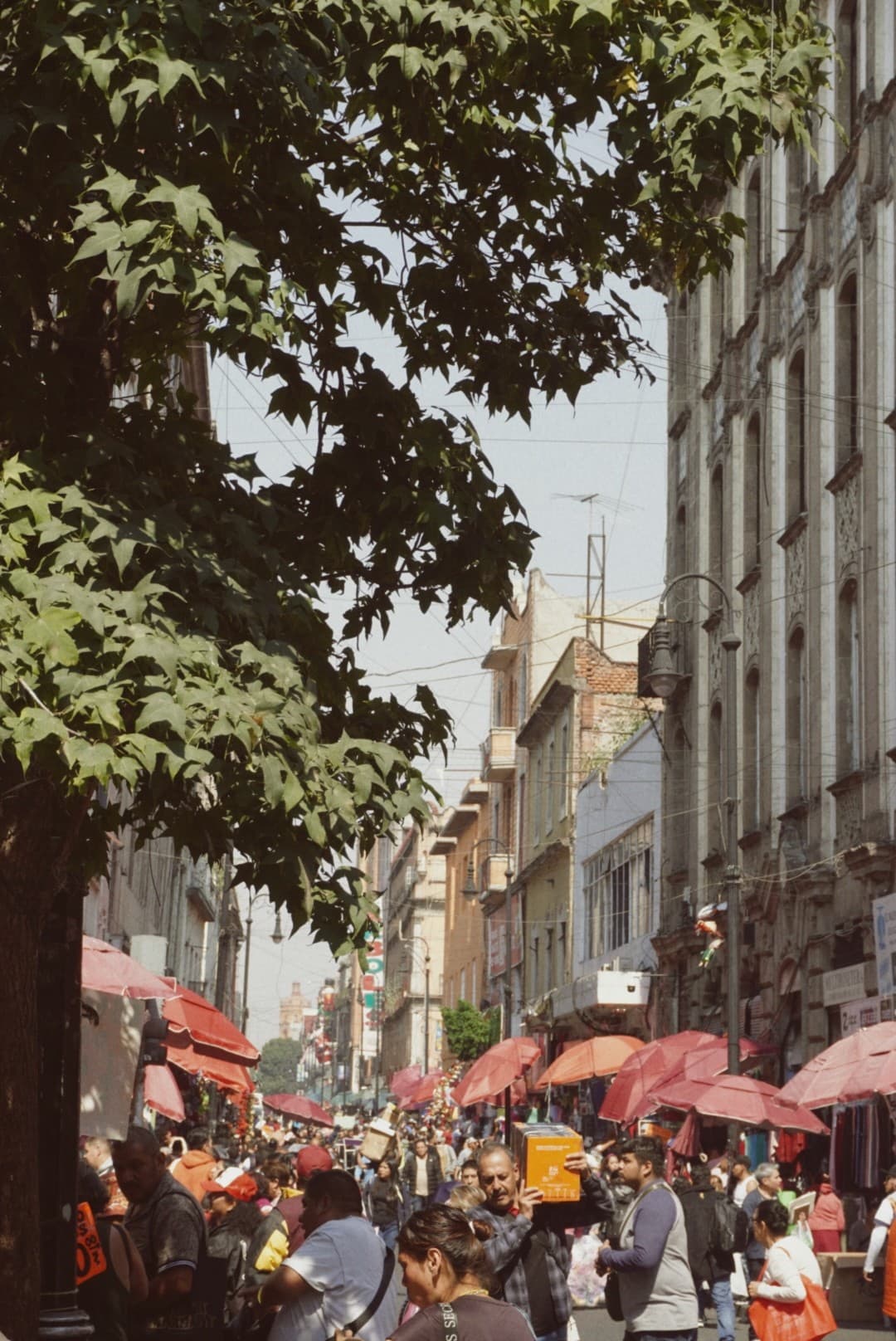 Market umbrellas, Mexico City