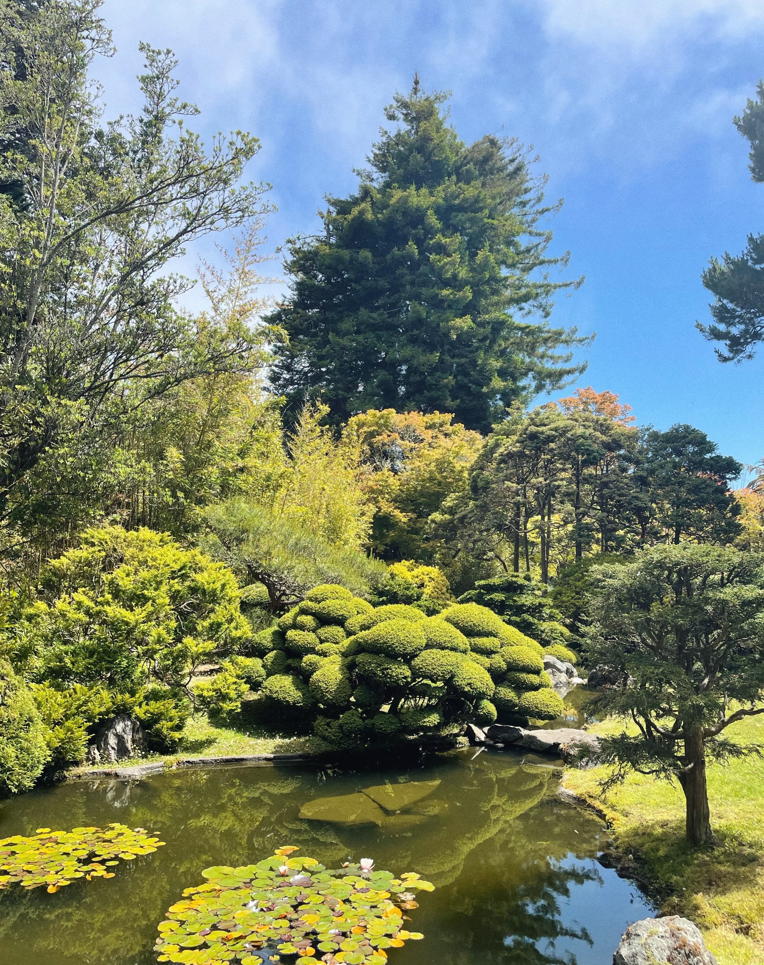 Japanese Tea Garden, San Francisco