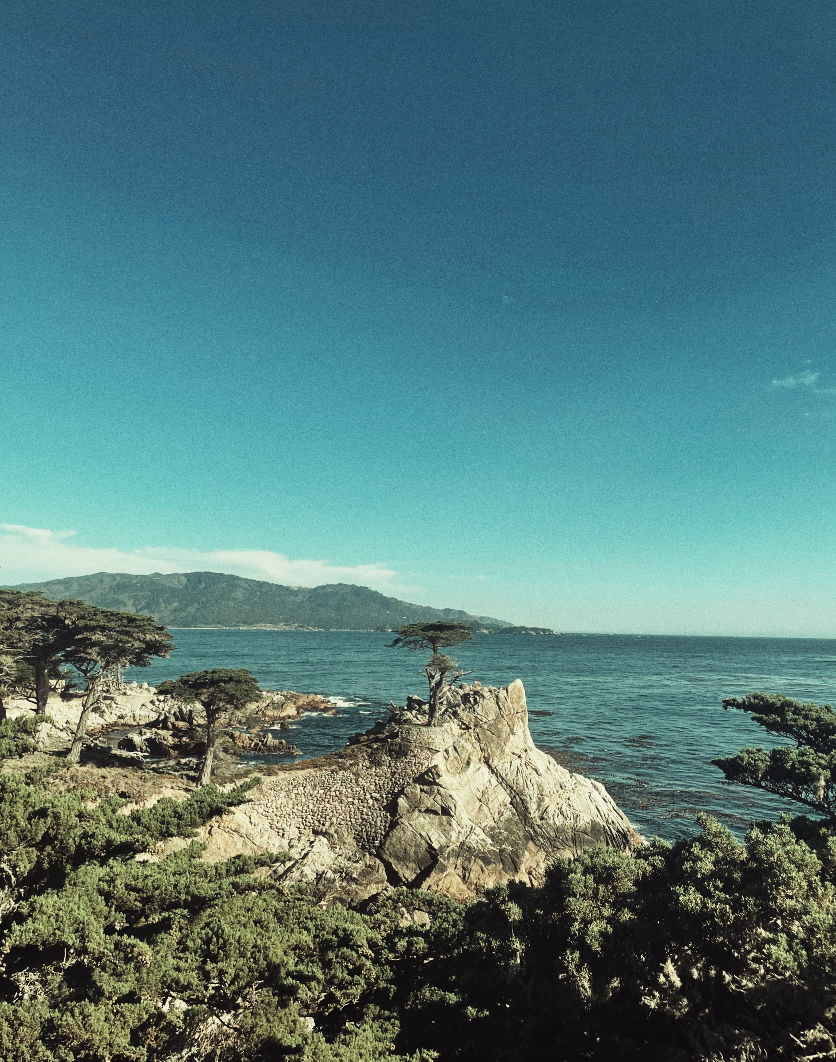 Lone Cypress, Monterey