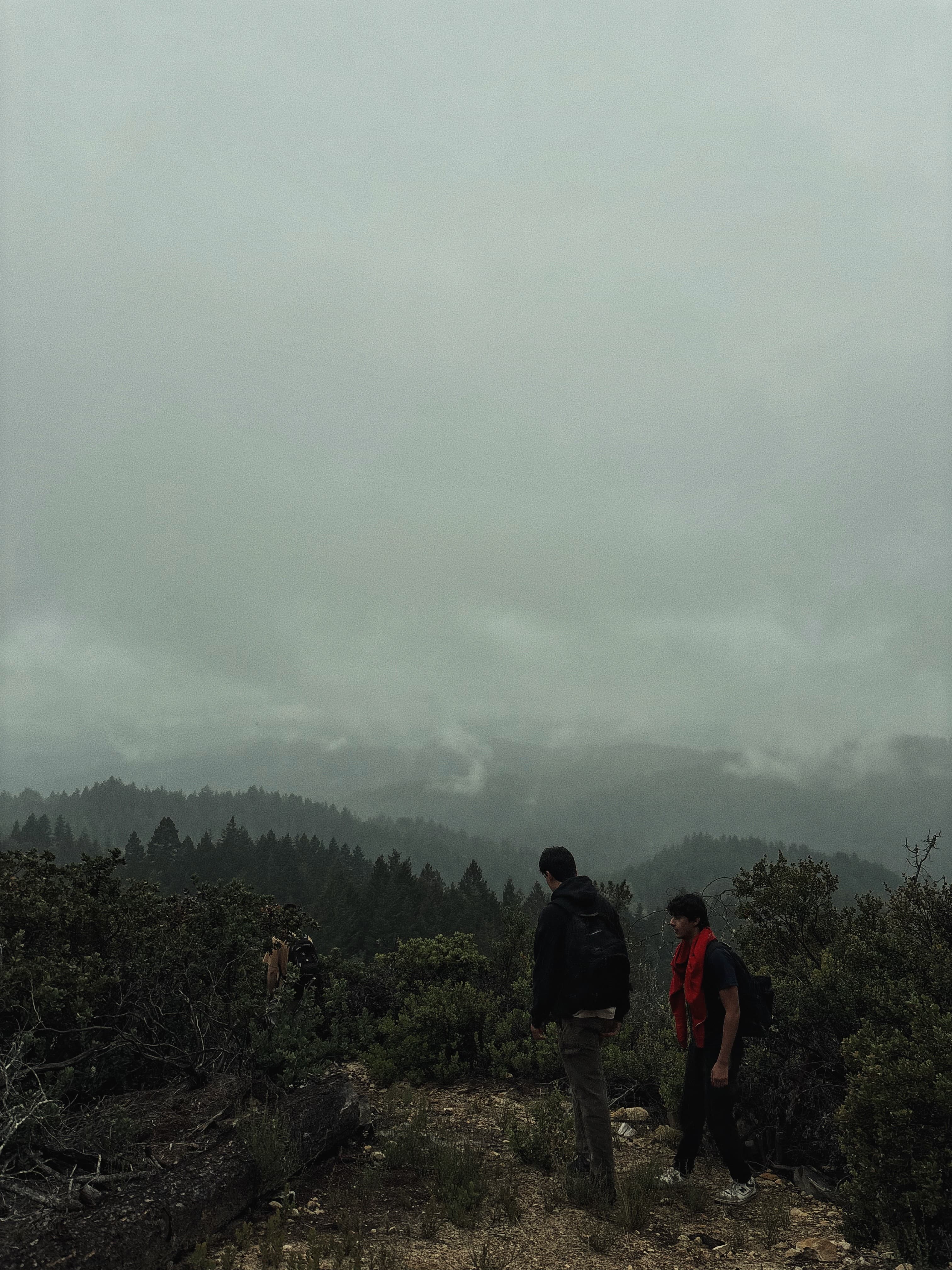Hikers in the fog, Marin